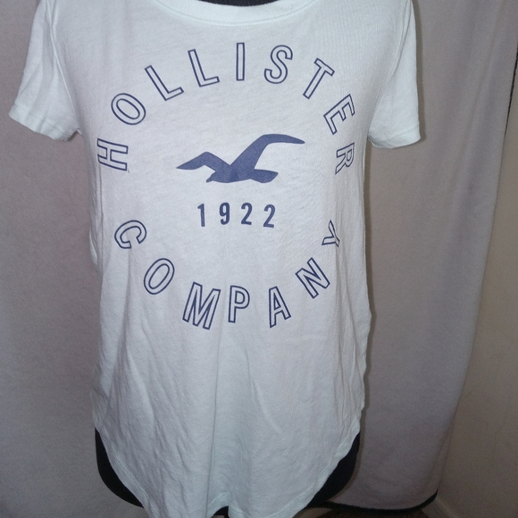 Hollister Light Blue Logo Tee - Picture 1 of 9